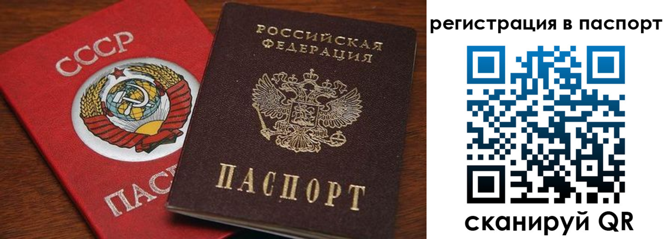 прописка в квартире в Ленинградской области